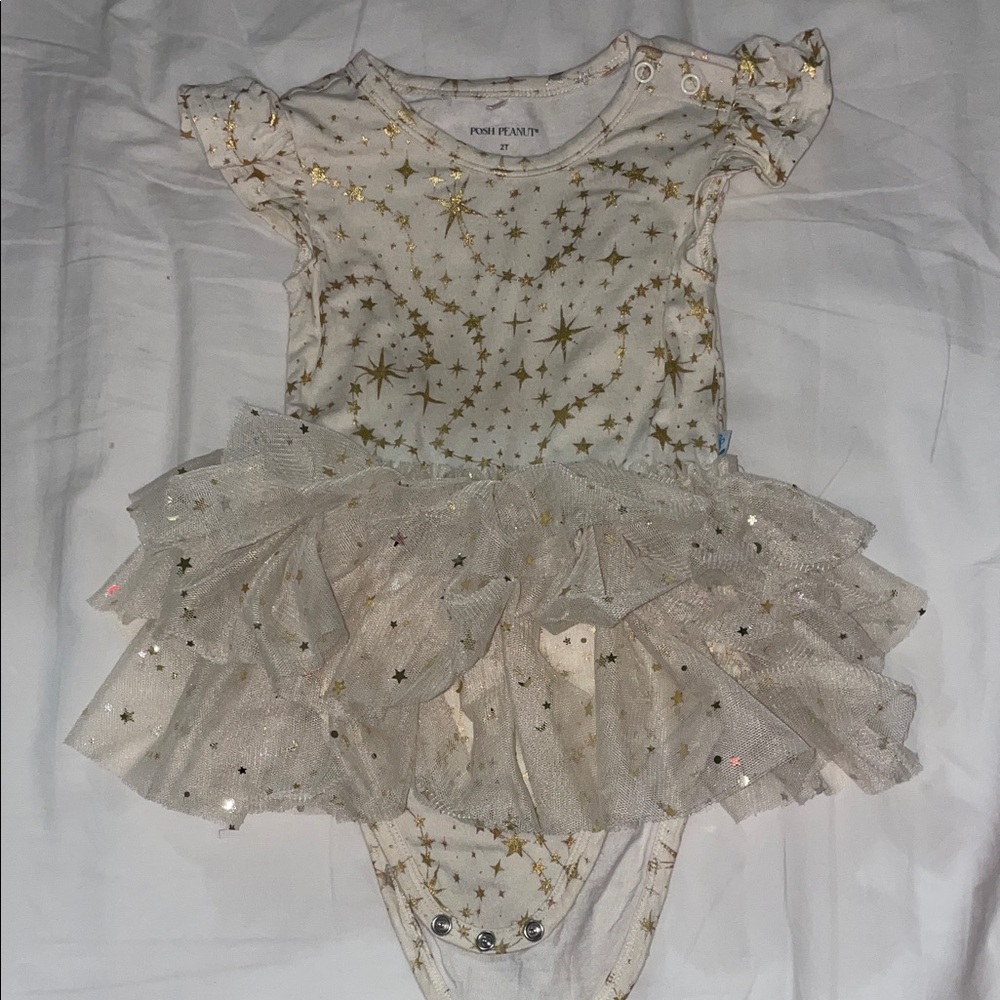Posh Peanut Olympia tulle bodysuit dress 2T